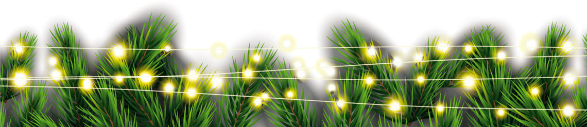 Branches de sapins et guirlandes de lumières blanches Branches de sapins et guirlandes de lumières blanches