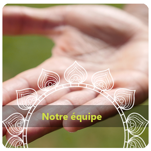 Notre équipe